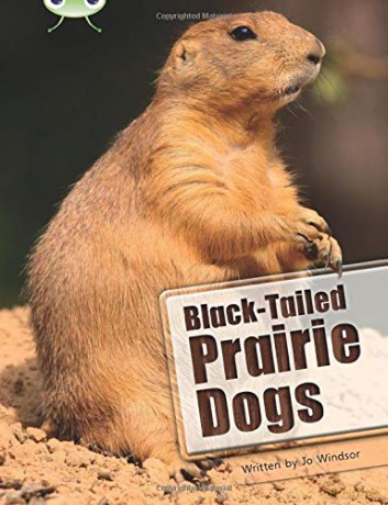 Black-Tailed Prairie Dogs: NF White B/2a Bug Club - Jo Windsor [KSIĄŻKA]