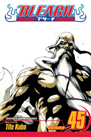 Bleach Volume 45: The Burnout Inferno - Tite Kubo [KOMIKS]