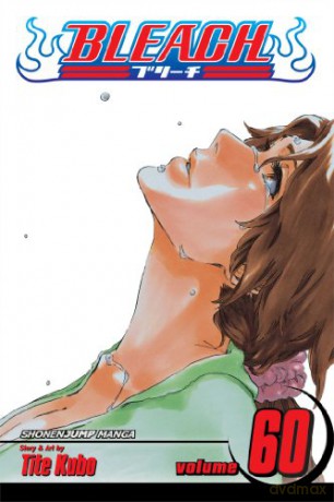 Bleach Volume 60: Everything But the Rain - Tite Kubo [KOMIKS]