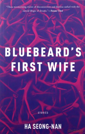 Bluebeard's First Wife - Seong-nan Ha [KSIĄŻKA]