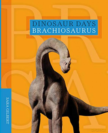 Brachiosaurus Dinosaur Days - Sara Gilbert [KSIĄŻKA]