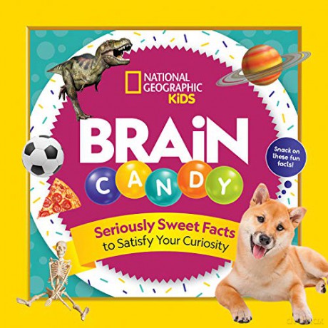 Brain Candy: 500 Sweet Facts to Satisfy Your Curiosity - National Geographic Kids [KSIĄŻKA]
