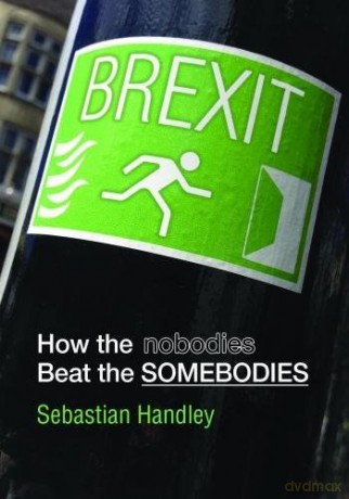 Brexit: How the Nobodies Beat the Somebodies - Sebastian J. Handley [KSIĄŻKA]