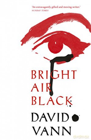 Bright Air Black: Vann David - David Vann [KSIĄŻKA]