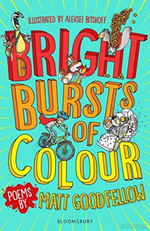 Bright Bursts of Colour - Matt Goodfellow [KSIĄŻKA]