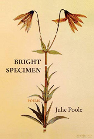 Bright Specimen - Julie Poole [KSIĄŻKA]