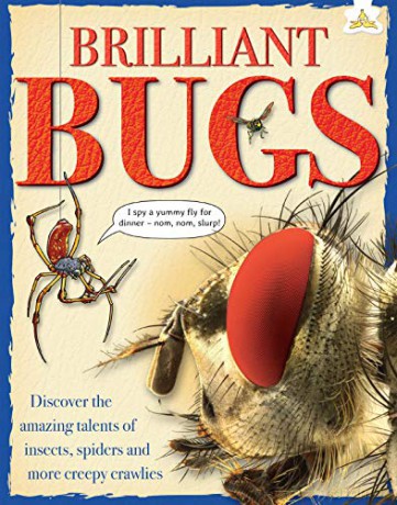 Brilliant Bugs: Discover the amazing talents of insects, spiders and more Creepy Crawlies Hungry Banana - John Farndon [KSIĄŻKA]
