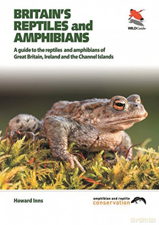 Britain's Reptiles and Amphibians WILDGuides - Howard Inns [KSIĄŻKA]