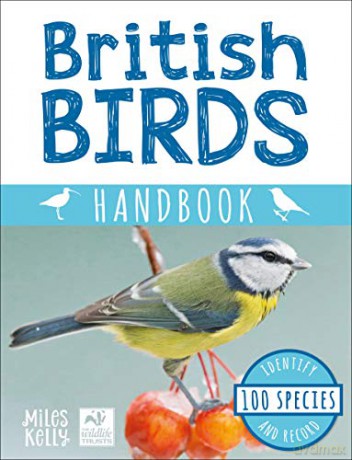 British Birds Handbook The Wildlife Trust: Identification Book Packed with Interesting Statistics and Facts - Miles Kelly [KSIĄŻKA]