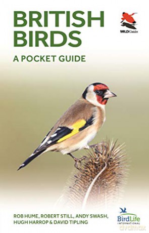 British Birds: A Pocket Guide WILDGuides: 30 - Rob Hume [KSIĄŻKA]