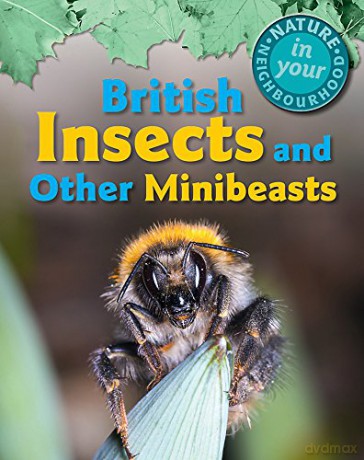 British Insects and other Minibeasts Nature in Your Neighbourhood - Clare Collinson [KSIĄŻKA]