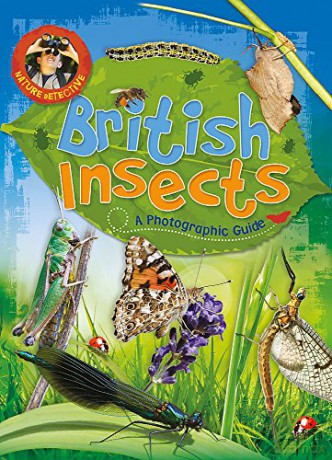 British Insects Nature Detective - Victoria Munson [KSIĄŻKA]