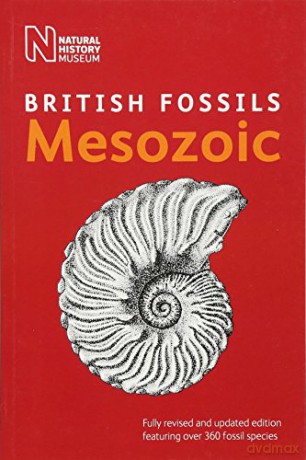 British Mesozoic Fossils British Fossils: 2 - Natural History Museum [KSIĄŻKA]