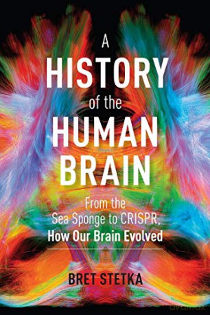 History Of The Human Brain: From The Sea Sponge To Crispr, How Our Brain Evolved - Stetka [KSIĄŻKA]