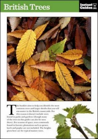 British Trees: The Instant Guide Instant Guides - Instant Guides [KSIĄŻKA]