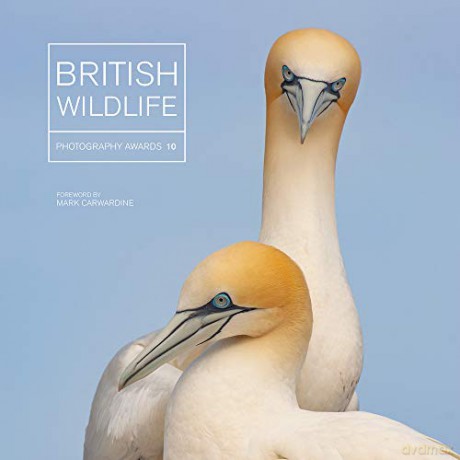 British Wildlife Photography Awards 10 - Maggie Gowan [KSIĄŻKA]