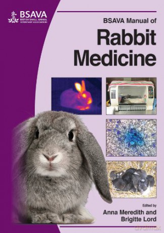 Bsava Manual of Rabbit Medicine BSAVA Manuals BSAVA British Small Animal Veterinary Association - Anna Meredith [KSIĄŻKA]