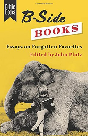 B-Side Books: Essays on Forgotten Favorites Public Books Series - John Plotz [KSIĄŻKA]