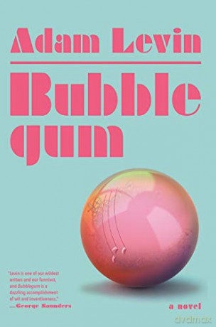 Bubblegum - Adam Levin [KSIĄŻKA]