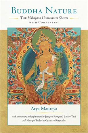 Buddha Nature: The Mahayana Uttaratantra Shastra with Commentary - Taye Lodro [KSIĄŻKA]