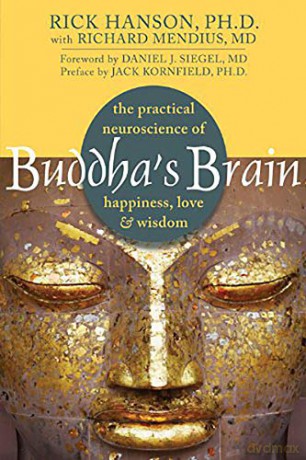 Buddha's Brain: The Practical Neuroscience Of Happiness, Love, And Wisdom - Rick Hanson [KSIĄŻKA]