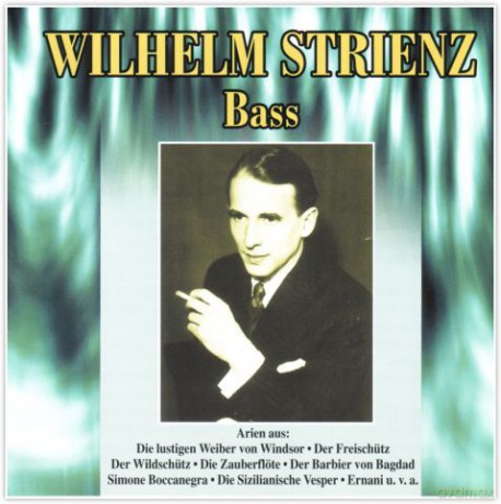 Wilhelm Strienz Vol. I [CD]