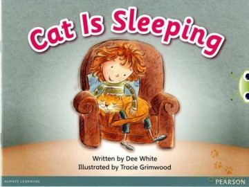 Bug Club Guided Fiction Reception Pink A Cat is Sleeping - Dee White [KSIĄŻKA]