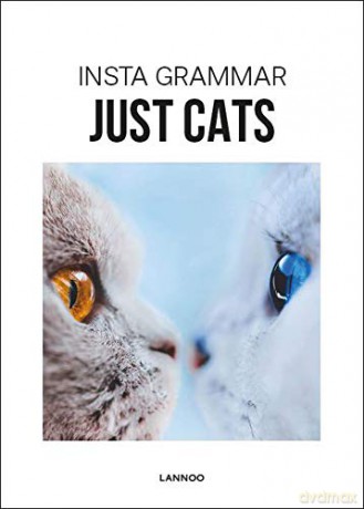 Insta Grammar Just Cats - Irene Schampaert [KSIĄŻKA]