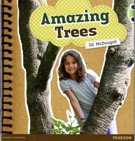 Bug Club Guided Non Fiction Year 1 Green A Amazing Trees - Jill McDougall [KSIĄŻKA]
