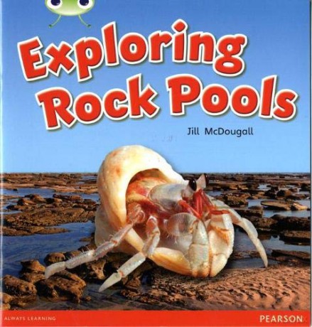Bug Club Guided Non Fiction Year 1 Green C Exploring Rock Pools - Jill McDougall [KSIĄŻKA]
