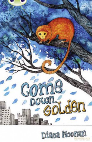 Bug Club Independent Fiction Year 3 Brown A Come Down, Golden - Diana Noonan [KSIĄŻKA]