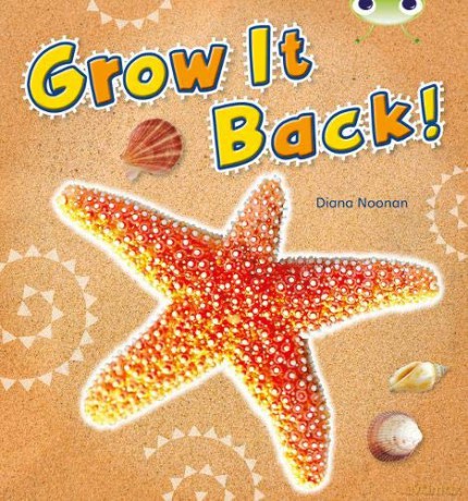 Bug Club Independent Non Fiction Year 1 Blue A Grow it Back - Diana Noonan [KSIĄŻKA]