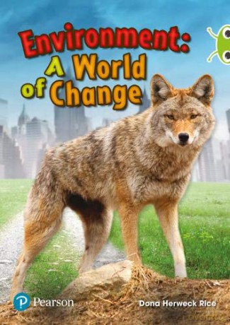 Bug Club Independent Non Fiction Year Two Lime Plus Environment A World of Change - Dona Rice [KSIĄŻKA]