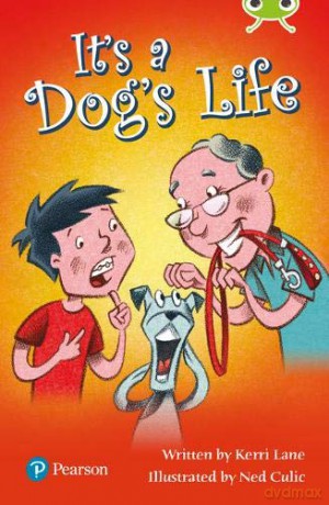 Bug Club Lime Plus B It's a Dog's Life - Kerri Lane [KSIĄŻKA]
