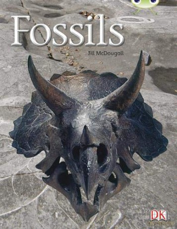 Bug Club Non-fiction Gold A/2B Fossils 6-pack - Jill McDougall [KSIĄŻKA]