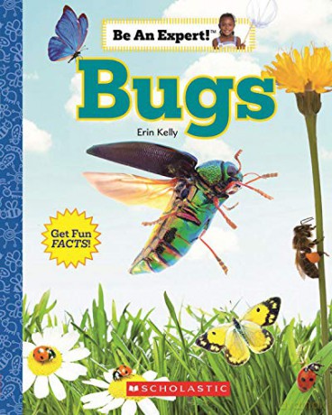 Bugs Be an Expert! Library Edition - Erin Kelly [KSIĄŻKA]