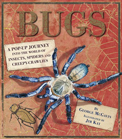 Bugs: A Pop-up Journey into the World of Insects, Spiders and Creepy-crawlies: 1 - Dr George McGavin [KSIĄŻKA]