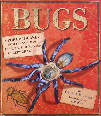 Bugs: A Pop-up Journey into the World of Insects, Spiders and Creepy-crawlies: 1 - Dr George McGavin [KSIĄŻKA]