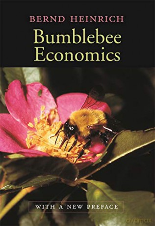 Bumblebee Economics: With a New Preface, Revised Edition - Bernd Heinrich [KSIĄŻKA]