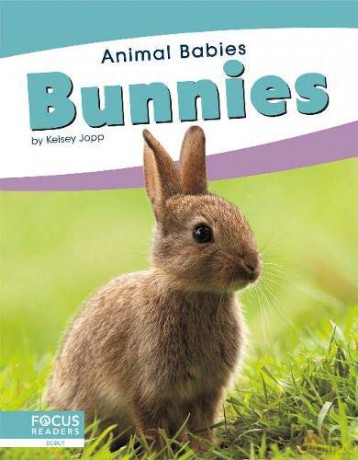 Bunnies Animal Babies - Kelsey Jopp [KSIĄŻKA]