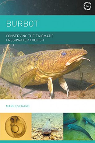 Burbot: Conserving the Enigmatic Freshwater Codfish - Everard [KSIĄŻKA]