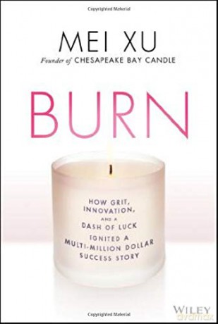 Burn: How Grit, Innovation, and a Dash of Luck Ignited a Multi-Million Dollar Success Story - Mei Xu [KSIĄŻKA]