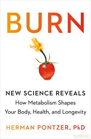 Burn: New Research Blows the Lid Off How We Really Burn Calories, Lose Weight, and Stay Healthy - Herman Pontzer [KSIĄŻKA]