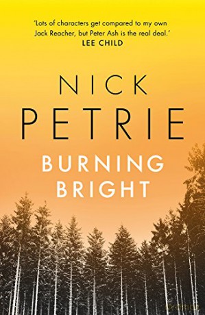 Burning Bright Ash: 2 - Nick Petrie [KSIĄŻKA]