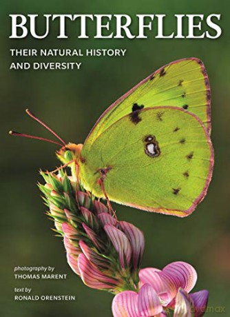 Butterflies: Their Natural History and Diversity - Ronald Orenstein [KSIĄŻKA]