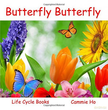 Butterfly Butterfly Life Cycle Books - Cammie Ho [KSIĄŻKA]