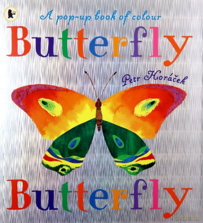 Butterfly, Butterfly - Petr Horacek [KSIĄŻKA]