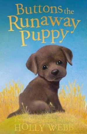 Buttons the Runaway Puppy by Webb, Holly - Holly Webb [KSIĄŻKA]