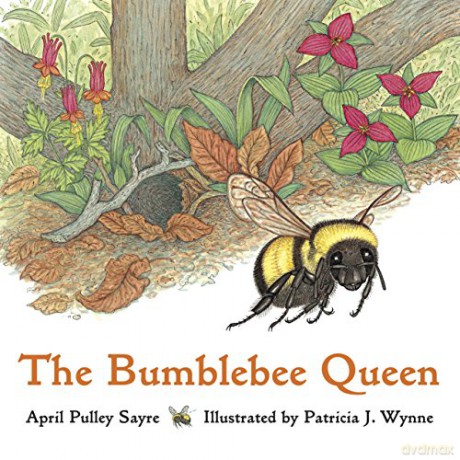 The Bumblebee Queen - April Pulley Sayre [KSIĄŻKA]