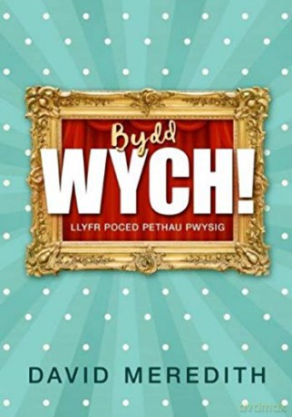 Bydd Wych! - David Meredith [KSIĄŻKA]